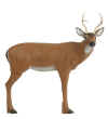 Pinnacle Large Sneak Deer   