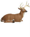 "EZ Mid/Core Bedded Deer