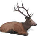 Ribehart Bedded Elk Target