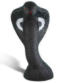 Rinehart Black Cobra Target